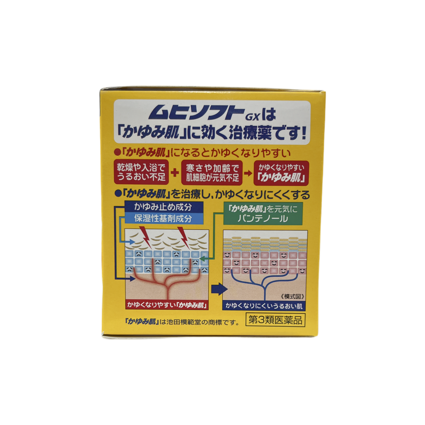 ムヒソフトGX 100g [第3類医薬品] 株式会社池田模範堂